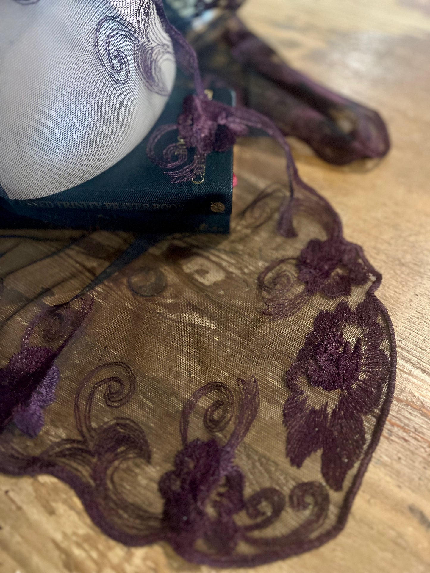 Agnes Maroon Veil