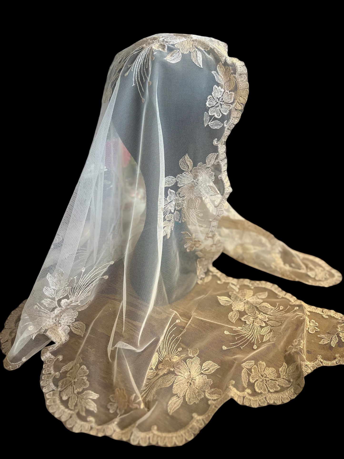 Long off white traditional latin mass chapel veil mantilla